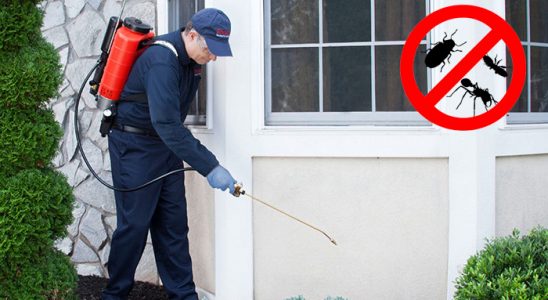 Çiftlikköy Bit İlaçlama böcek ilaçlama ve haşere kontrolü — ilaclama-tr.com